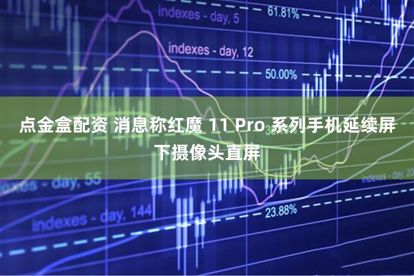 点金盒配资 消息称红魔 11 Pro 系列手机延续屏下摄像头直屏