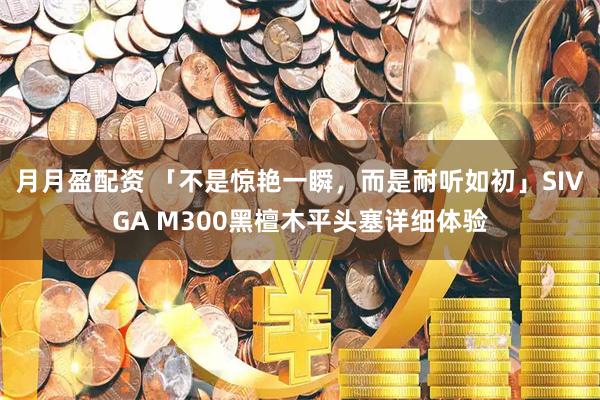 月月盈配资 「不是惊艳一瞬，而是耐听如初」SIVGA M300黑檀木平头塞详细体验